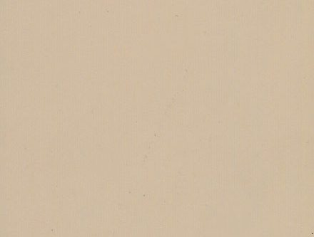 Tafta Beige