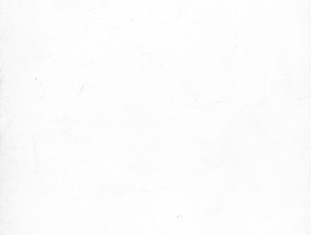 Tafta Bianco